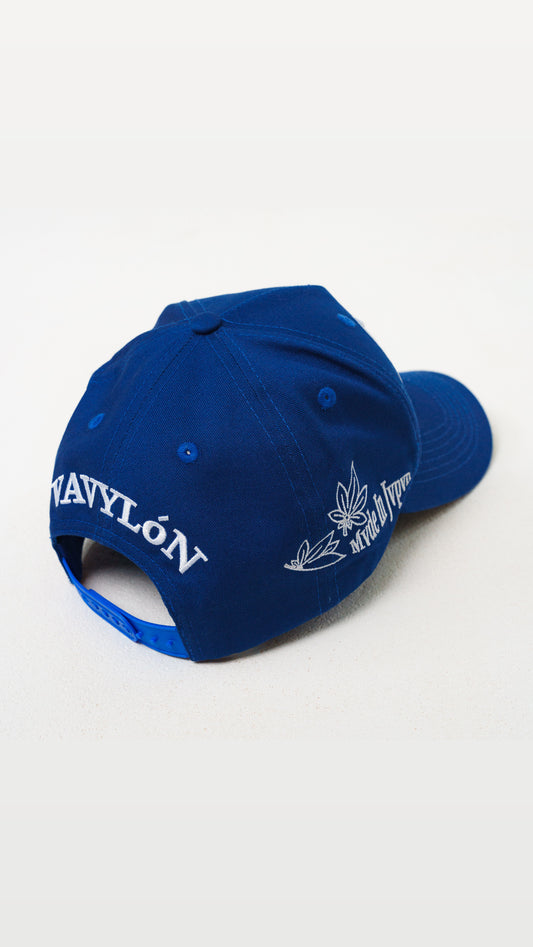 VAVYLóN 青鯉 SnapBack.
