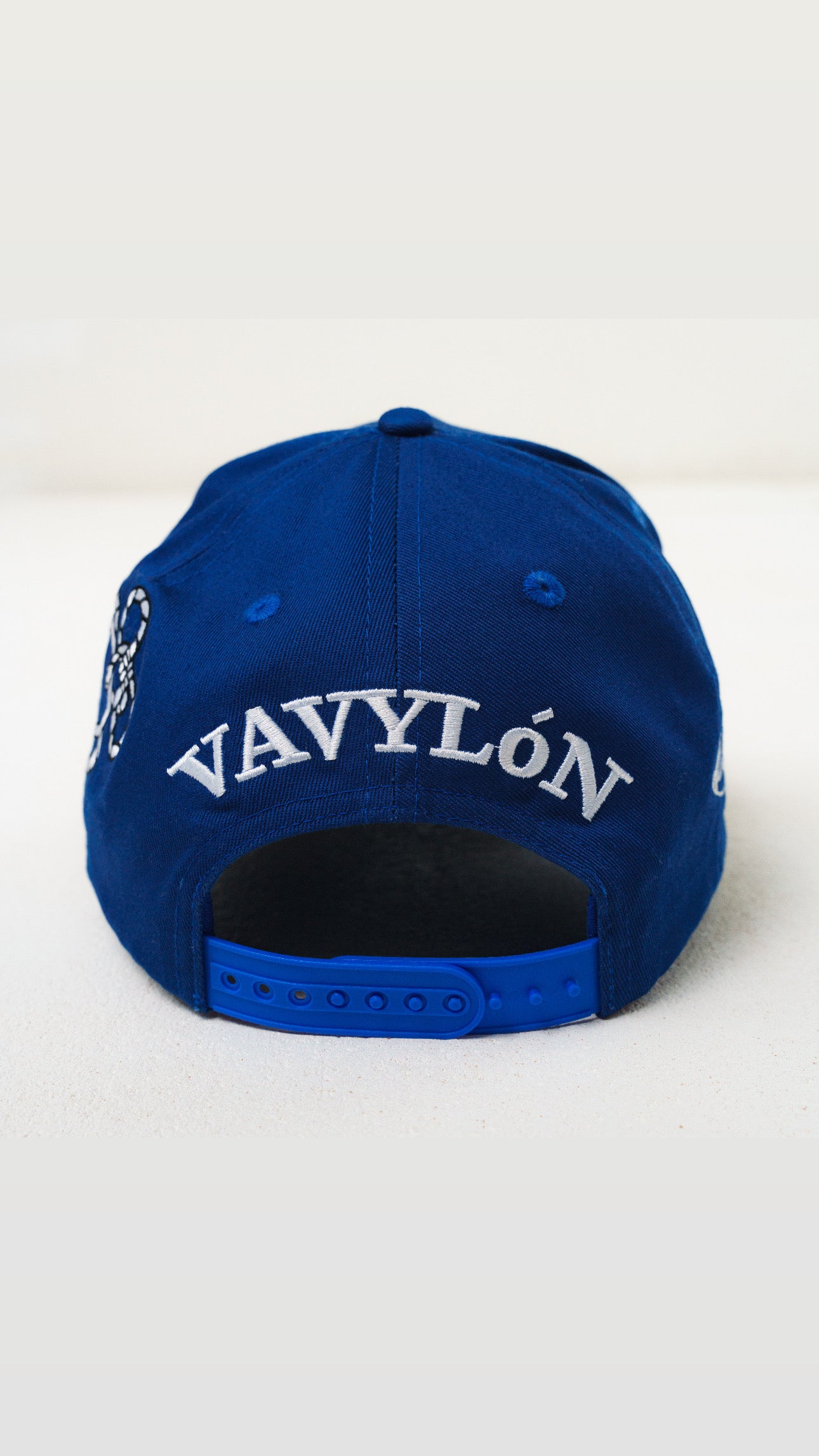 VAVYLóN 青鯉 SnapBack.