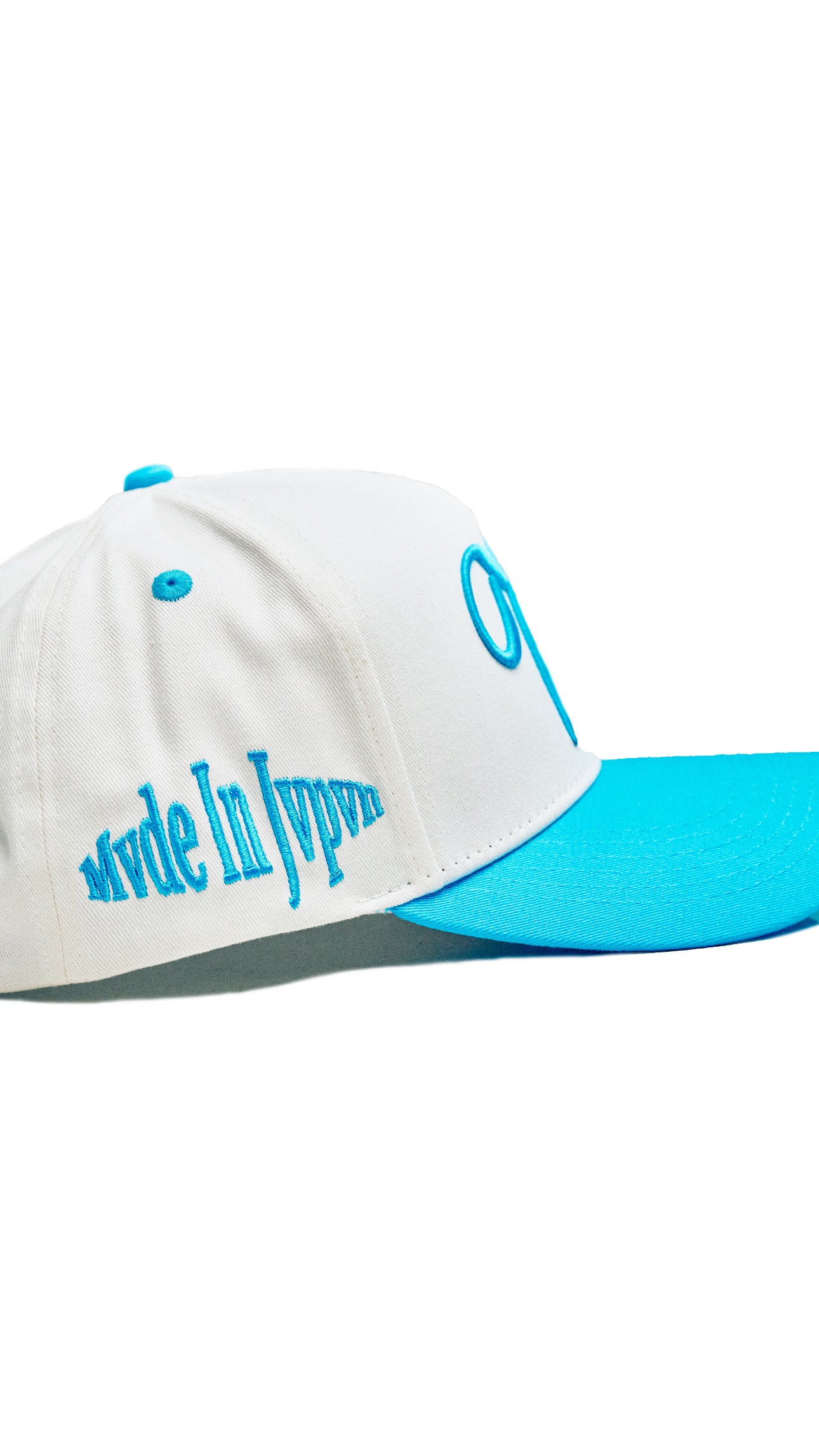 VAVYLóN "Oasis" Snapback