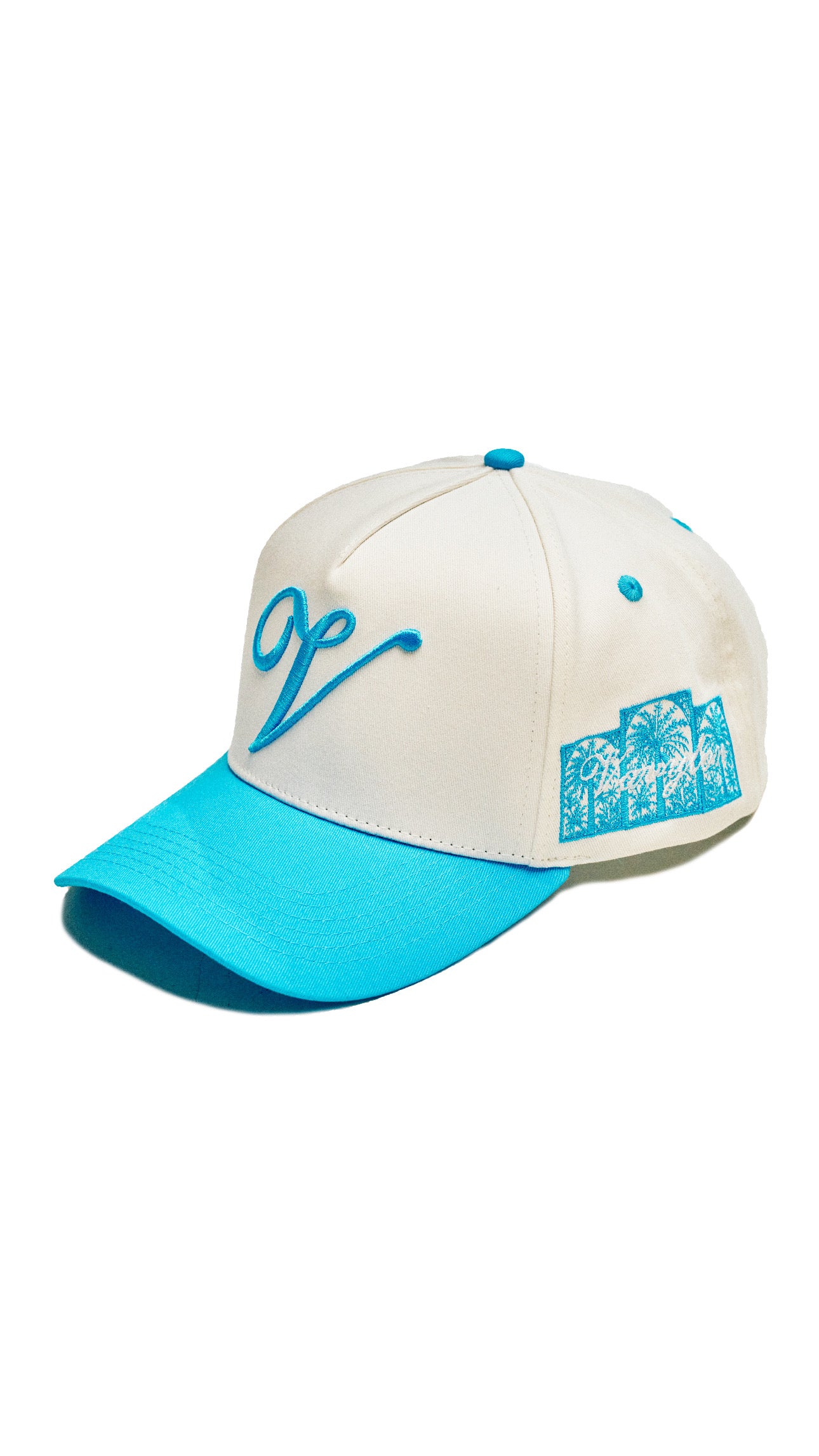 VAVYLóN "Oasis" Snapback