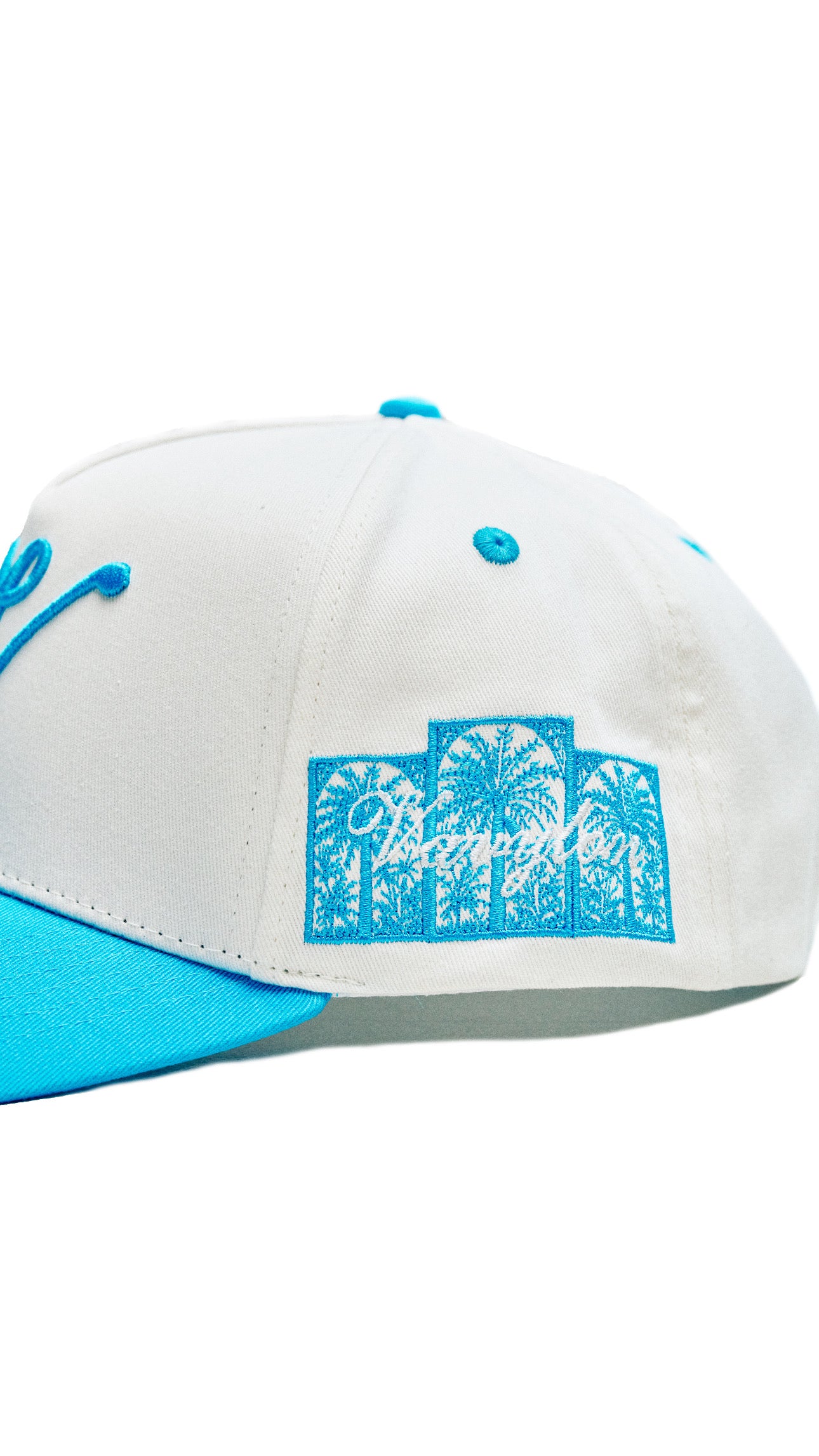 VAVYLóN "Oasis" Snapback